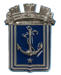 Distintivo Consigliere Gruppo