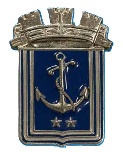 Distintivo Vice Presidente Gruppo